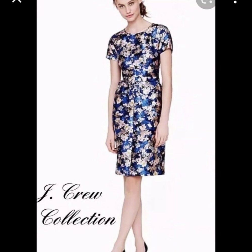 J Crew Collection silk wool night garden print dress with pockets sz 00